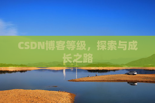 CSDN博客等级,探索与成长之路